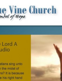 True Vine Church