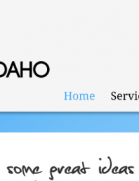 SEO4IDAHO